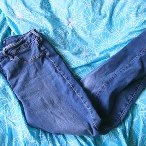 Curvy Jeggings | Hollister | Size 15S/32